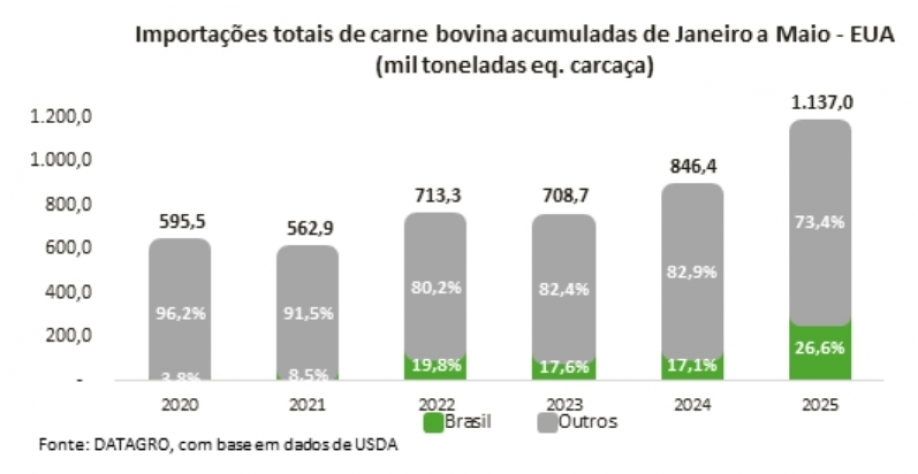 Impactos da tarifa de 50% dos EUA sobre o Brasil no mercado da carne bovina