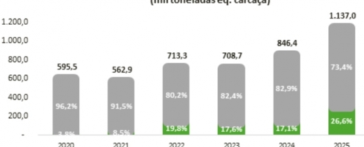 Impactos da tarifa de 50% dos EUA sobre o Brasil no mercado da carne bovina