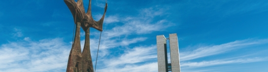Manifesto do PNBE sobre o aumento do número de deputados federais
