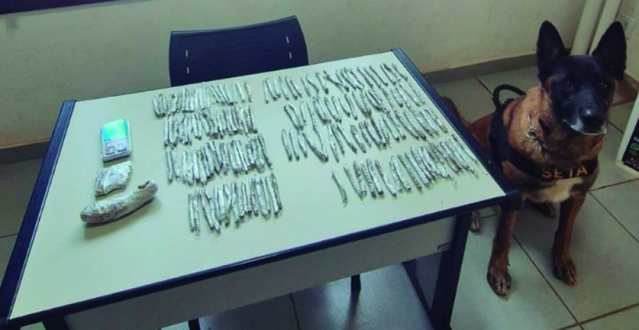 Apreensão de drogas em Sertãozinho