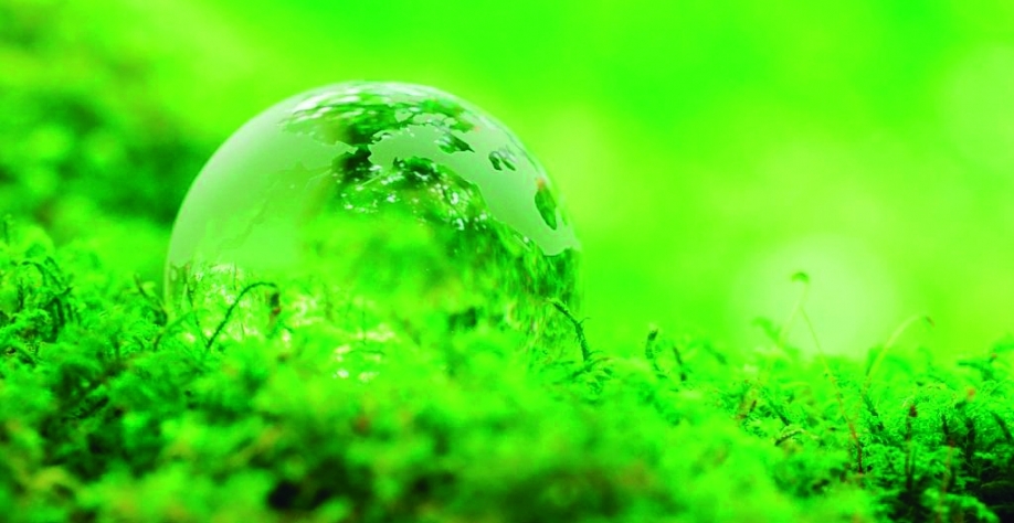 Fórum de Sustentabilidade discute o agro paulista na COP 30