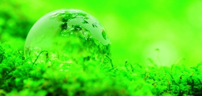 Fórum de Sustentabilidade discute o agro paulista na COP 30