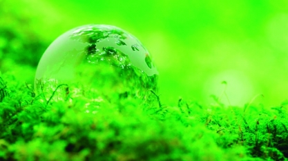 Fórum de Sustentabilidade discute o agro paulista na COP 30