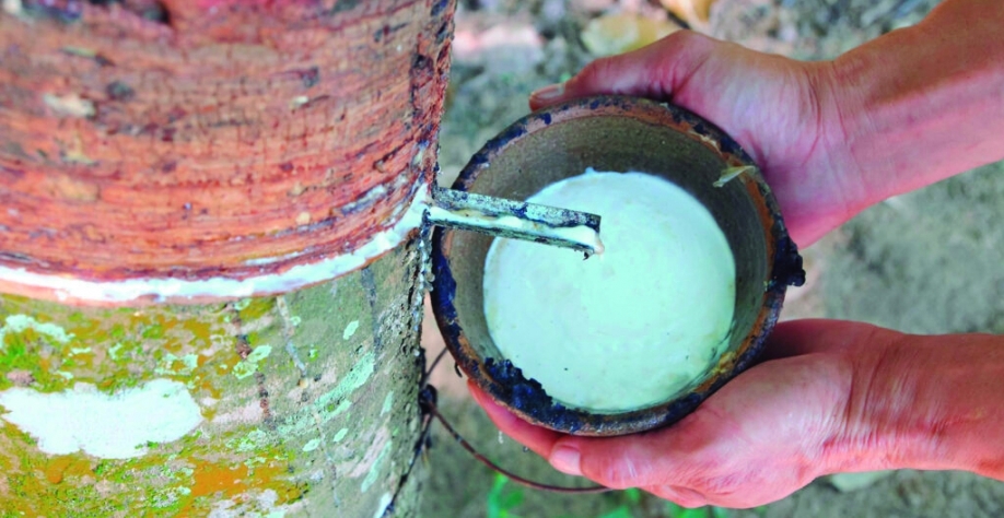 Faesp pede manutenção da alíquota de importação da borracha natural de 10,8%
