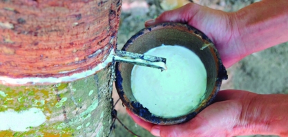 Faesp pede manutenção da alíquota de importação da borracha natural de 10,8%