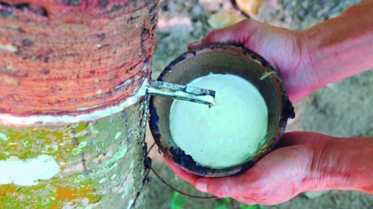 Faesp pede manutenção da alíquota de importação da borracha natural de 10,8%