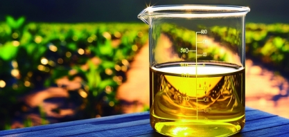 Da vinhaça ao metanol: o Brasil diante de uma nova revolução energética