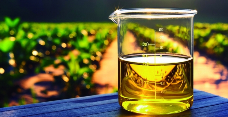 Da vinhaça ao metanol: o Brasil diante de uma nova revolução energética