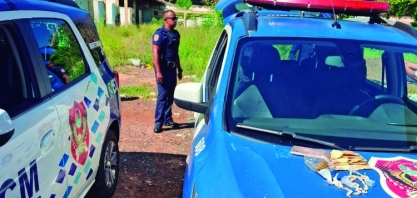 Criminalidade: Guarda Civil Municipal apreende drogas em Sertãozinho