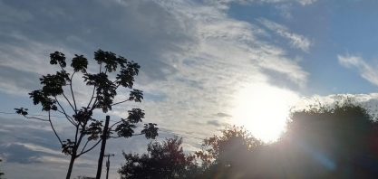 Expectativa e realidade