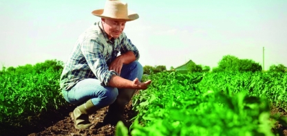 CNA elabora documento para a COP 30