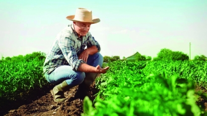 CNA elabora documento para a COP 30