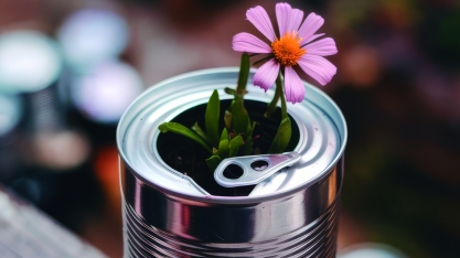 Lata de aço: da indústria à reciclagem, um ciclo de sustentabilidade em movimento