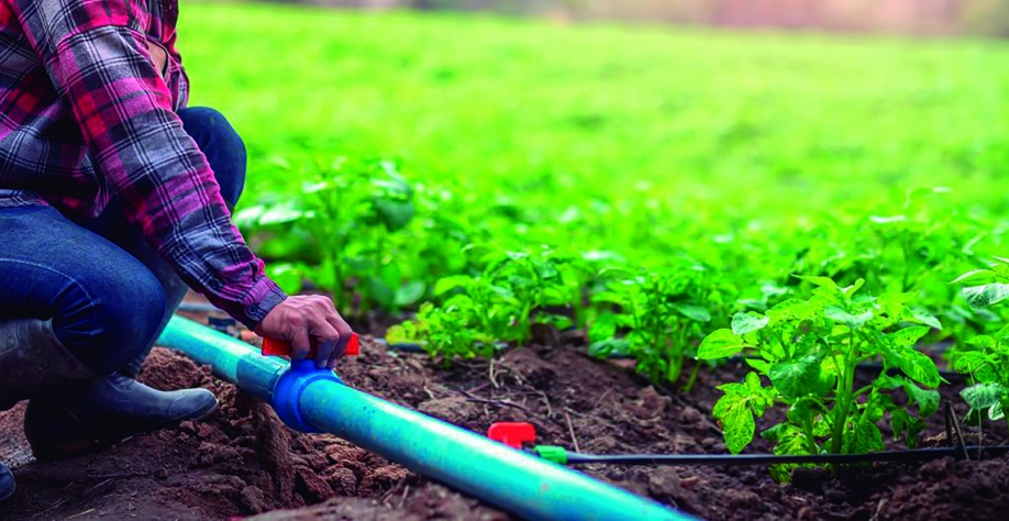 Faesp discute pautas prioritárias do setor rural paulista em reunião com o Vice-Presidente da Alesp, deputado Gilmaci Santos