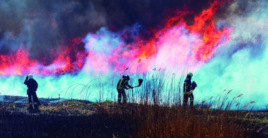 Seminário da Faesp leva cidade a apresentar lei
