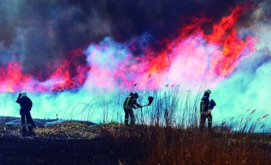 Seminário da Faesp leva cidade a apresentar lei