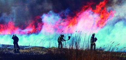 Seminário da Faesp leva cidade a apresentar lei