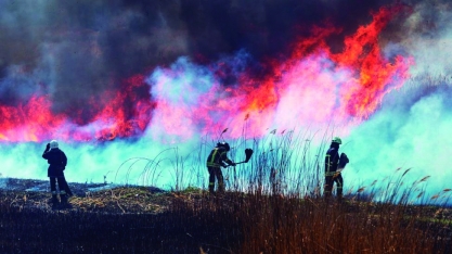 Seminário da Faesp leva cidade a apresentar lei
