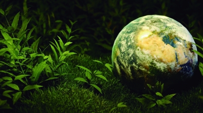 Sustentabilidade realiza fóruns e palestras para produtores rurais