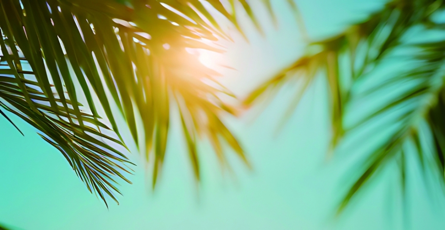 Especialistas reforçam cuidados para manter a hidratação no verão