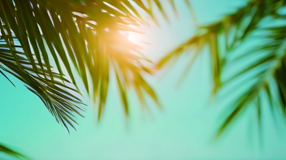 Especialistas reforçam cuidados para manter a hidratação no verão