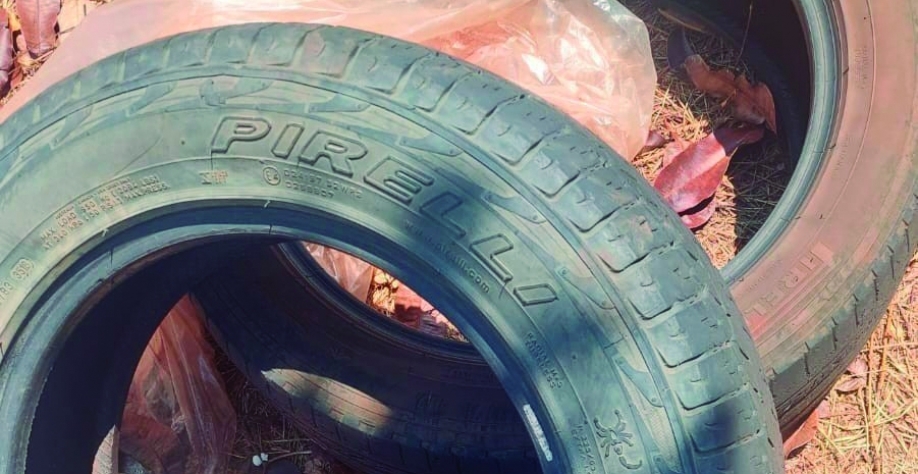 Você já verificou o seu quintal hoje?