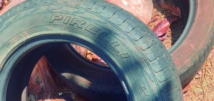 Você já verificou o seu quintal hoje?