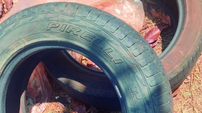 Você já verificou o seu quintal hoje?