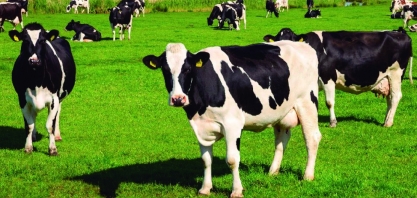 FAESP apresenta propostas para o setor leiteiro paulista ao novo secretário