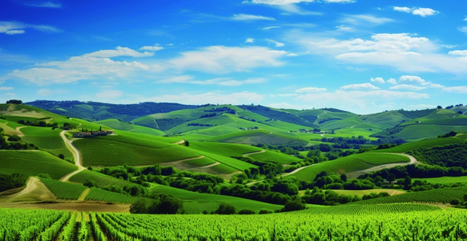 Plano Safra 2025/2026 tem retração nos desembolsos, mas cresce em número de operações