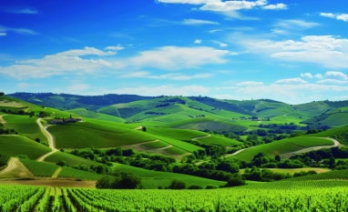 Plano Safra 2025/2026 tem retração nos desembolsos, mas cresce em número de operações