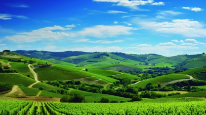 Plano Safra 2025/2026 tem retração nos desembolsos, mas cresce em número de operações