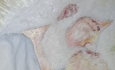 A vida e seus milagres