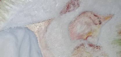 A vida e seus milagres