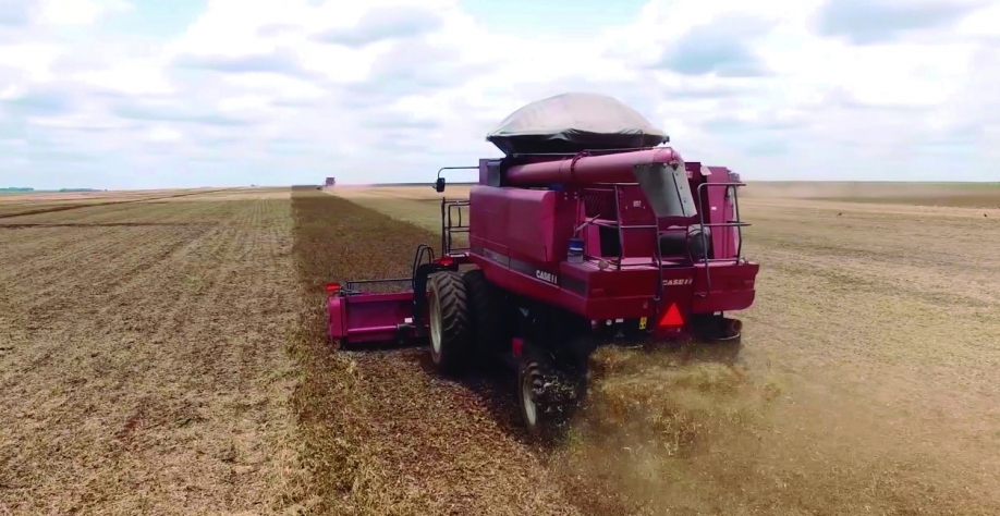 Agropecuária puxa resultado positivo do PIB 2025