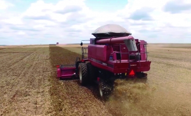 Agropecuária puxa resultado positivo do PIB 2025