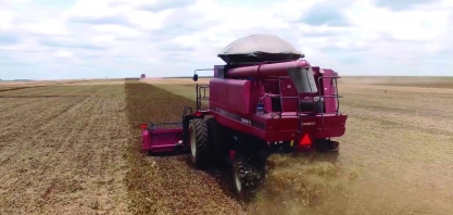 Agropecuária puxa resultado positivo do PIB 2025