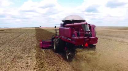 Agropecuária puxa resultado positivo do PIB 2025