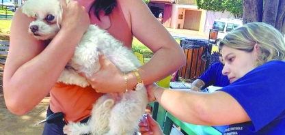 Controle de Zoonoses realiza plantão de vacinação contra a raiva animal neste sábado, dia 18