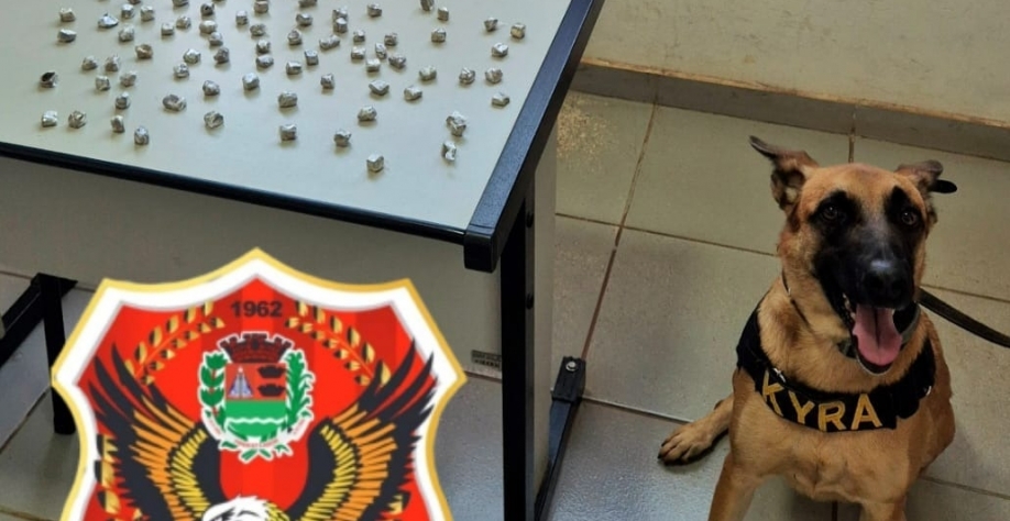 GCM de Sertãozinho com apoio da K9 Kyra apreende drogas em área de mata