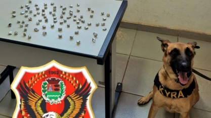GCM de Sertãozinho com apoio da K9 Kyra apreende drogas em área de mata