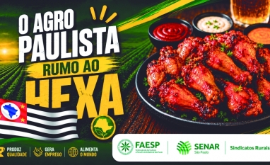 Frango paulista entra em campo e fortalece exportações 