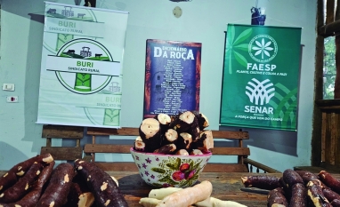 Processamento caseiro de mandioca em Buri promove cultura e a cidade