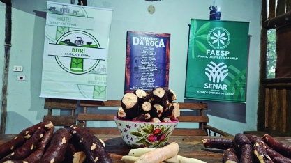 Processamento caseiro de mandioca em Buri promove cultura e a cidade