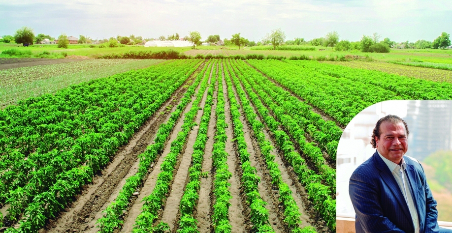 Plano Safra ignora realidade do campo e amplia preocupação com o futuro da produção