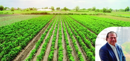 Plano Safra ignora realidade do campo e amplia preocupação com o futuro da produção