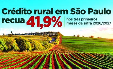 Crédito rural em São Paulo recua 41,9% nos três primeiros meses da safra 2026/2027